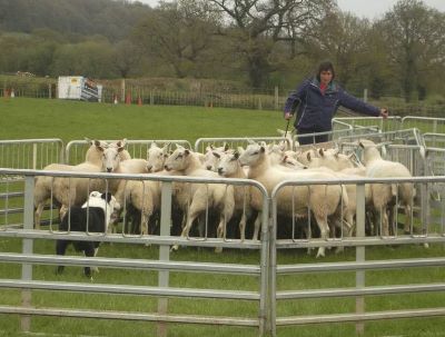 Adeline Jones on the gate and Wilden Smasher putting them up the race